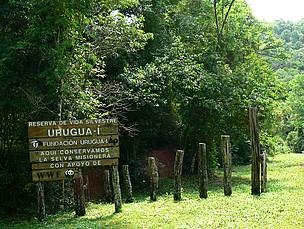 © Portal de acceso a la Reserva de Vida Silvestre Urugua-í
© Portal de acceso a la Reserva de Vida Silvestre Urugua-í