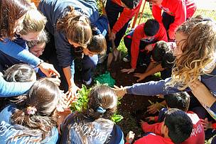 Emiliano Salvador (Vida Silvestre)
© Colegio Argentino Americano plantando árboles nativos
© Colegio Argentino Americano plantando árboles nativos