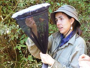© Parte del equipo de biólogos que estudian las mariposas en la Reserva Vida Silvestre Urugua-í
© Parte del equipo de biólogos que estudian las mariposas en la Reserva Vida Silvestre Urugua-í