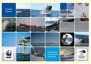 © Proyecto Corredor Azul
© Proyecto Corredor Azul