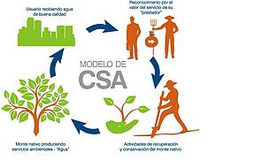 © Compensación por Servicios Ambientales
© Compensación por Servicios Ambientales