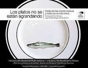 © Campaña de Vida Silvestre
© Campaña de Vida Silvestre