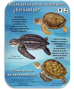 © Materiales del Kit Educativo Marino
© Materiales del Kit Educativo Marino