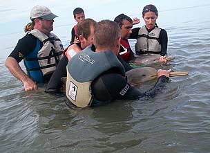 © Equipo de Vida Silvestre y Fundación AquaMarina trabajando juntos
© Equipo de Vida Silvestre y Fundación AquaMarina trabajando juntos