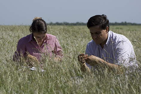 © Trabajamos con los productores agropecuarios para hacer un manejo de pastizales compatible con la conservación rel=