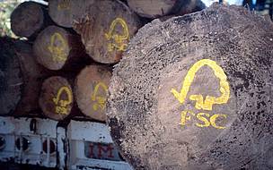 © Consejo de Manejo Forestal es una organización internacional cuyo objetivo es promover el uso ambientalmente responsable, socialmente benéfico y económicamente viable de los bosques del mundo.
© Consejo de Manejo Forestal es una organización internacional cuyo objetivo es promover el uso ambientalmente responsable, socialmente benéfico y económicamente viable de los bosques del mundo.