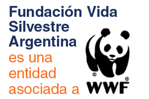 La Fundación Vida Silvestre Argentina es una entidad asociada a la Organización Mundial de ...
© WWF FVSA
© WWF FVSA
