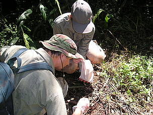 © Investigadores tomando muestras de materia fecal en la selva.
© Investigadores tomando muestras de materia fecal en la selva.