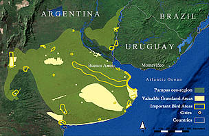 © Ubicación de los pastizales del Río de la Plata
© Ubicación de los pastizales del Río de la Plata