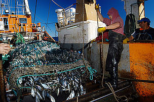 Pesca de altura
© Martin Brunella
© Martin Brunella
