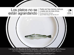 © Campaña por la protección de la Merluza
© Campaña por la protección de la Merluza