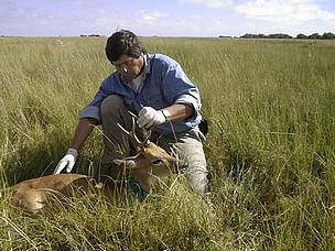 © El equipo de Vida Silvestre trabajando por la conservación del Venado de las Pampas
© El equipo de Vida Silvestre trabajando por la conservación del Venado de las Pampas