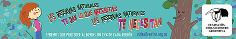 © rel=