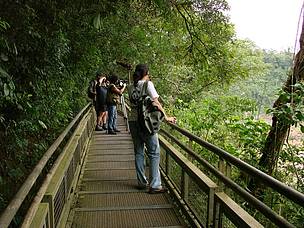 © Por más áreas protegidas: Reserva de Vida Silvestre Urugua-í
© Por más áreas protegidas: Reserva de Vida Silvestre Urugua-í