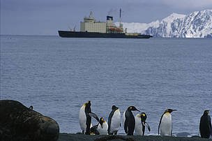 Antártida
© Sylvia RUBLI WWF
© Sylvia RUBLI WWF